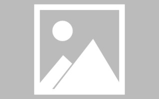 定安山东网络网站搭建特点（山东网站建设app）